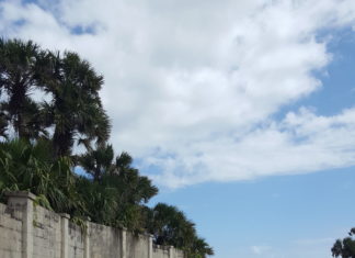 St. Johns County beaches partial reopening announced