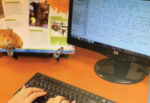 Learn Braille to help the blind and visually impaired