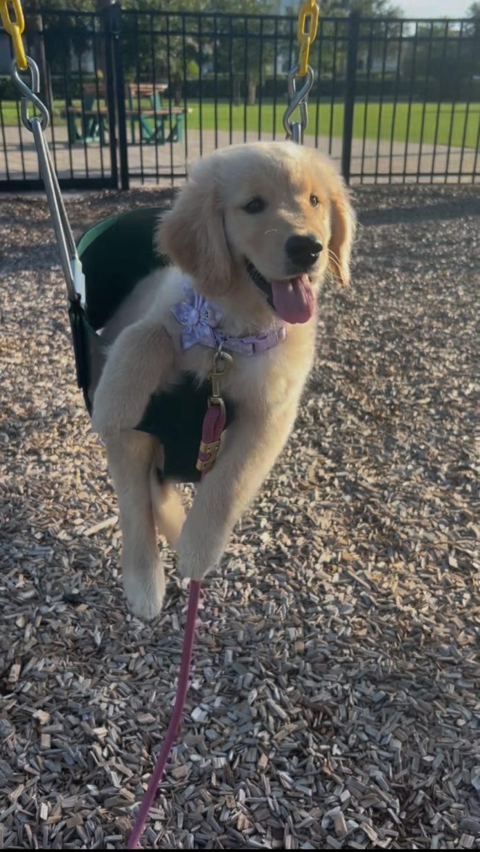 BFF Peaches