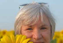 Debi Lander Travel: Fredericksburg weaves American history into travel destination