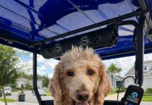 Meet Maxon: November BFF of the month, Ponte Vedra