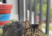 Meet Cali: November BFF of the Month, CreekLine