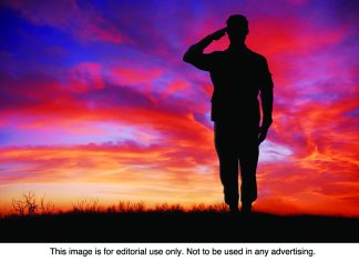 Interesting facts about Veterans Day